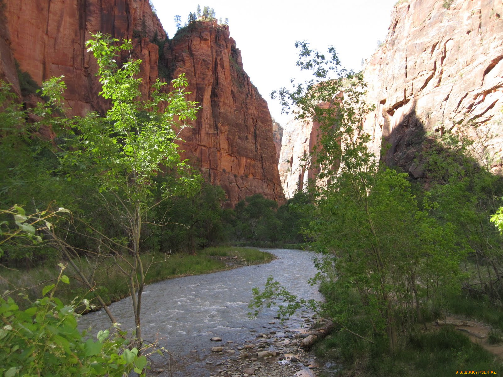 , , , national, park, zion